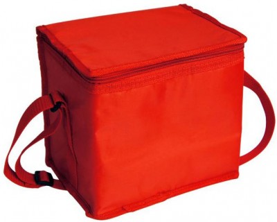 Cooler Bags small