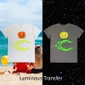 T Shirt Grey