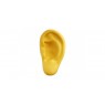 Stress Ear