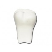 Stress Tooth White