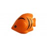 Tropical Fish Orange